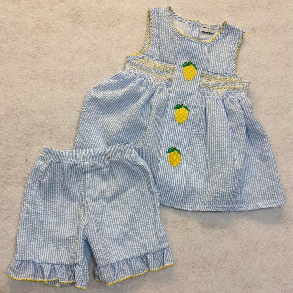 NWT - Abby $ Evie Blue and White Gingham Lemon Set (3T)